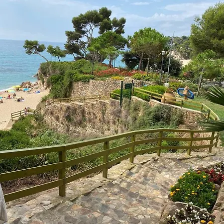Campsite Camping Treumal
