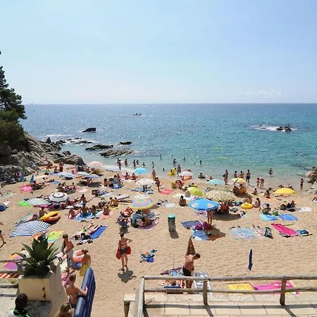 Camping Treumal 4*