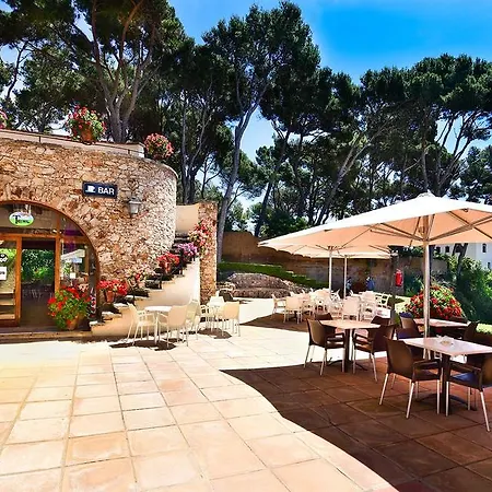 Camping Treumal