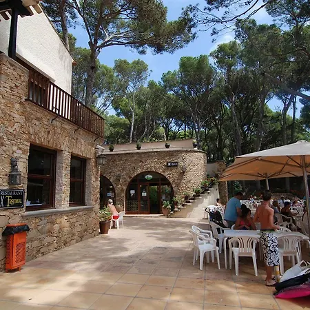 Campsite Camping Treumal