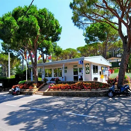 Campsite Camping Treumal 4*