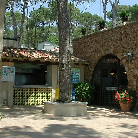 Camping Treumal 4*