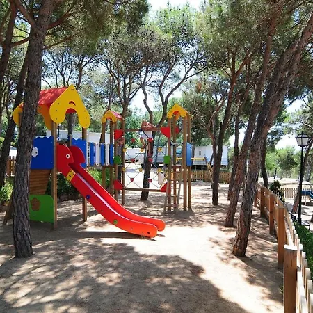 Camping Treumal