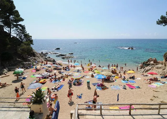 Camping Treumal 4*