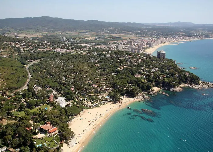 Camping Camping Treumal