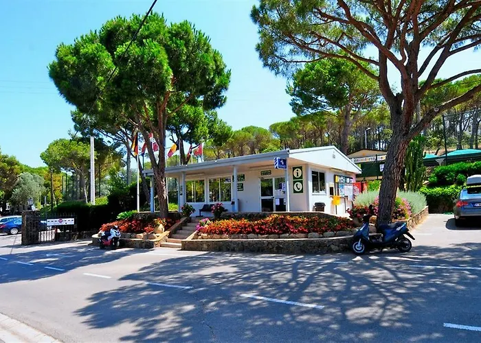 Camping Camping Treumal 4*