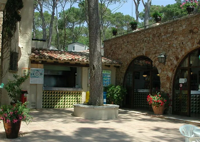Camping Treumal 4*